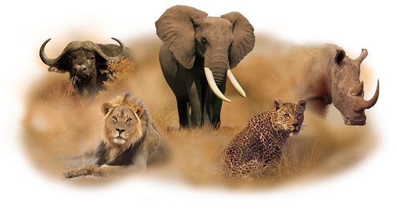 3-Day Amboseli Group